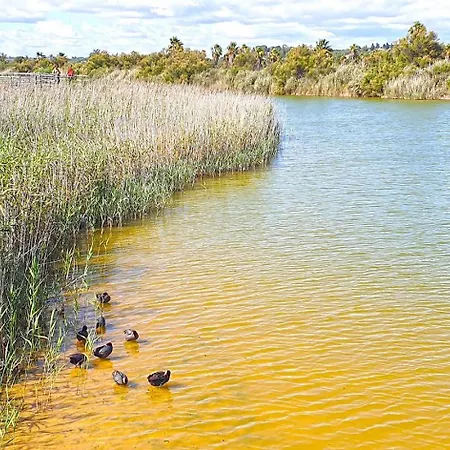 Cantinho Do Mocho - Com Piscina Centro Do Algarve *