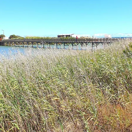 빌라 Cantinho Do Mocho - Com Piscina Centro Do Algarve
